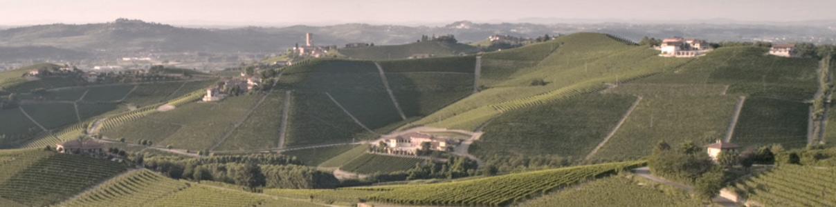 Productor: Produttori del Barbaresco