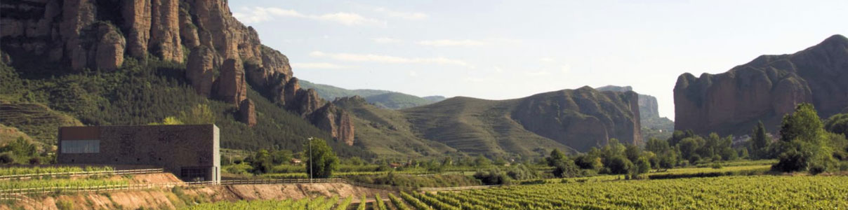 Productor: Bodegas Proelio