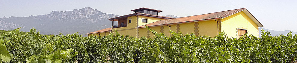 Productor: Bodegas y Viñedos Pujanza