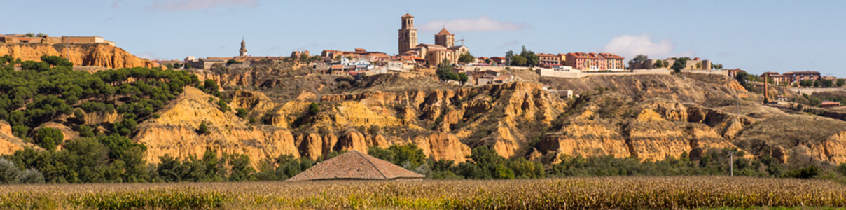 Productor: Quinta de la Quietud