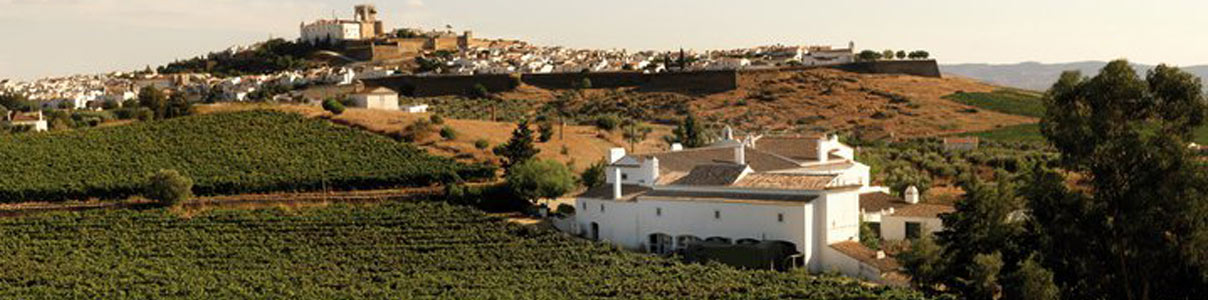 Productor: Quinta do Mouro