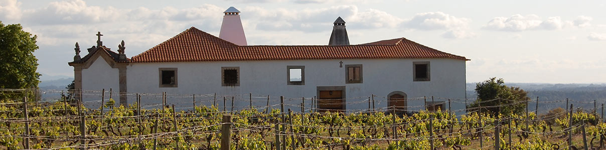 Productor: Quinta da Pellada