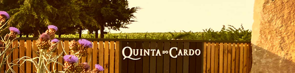Productor: Quinta do Cardo