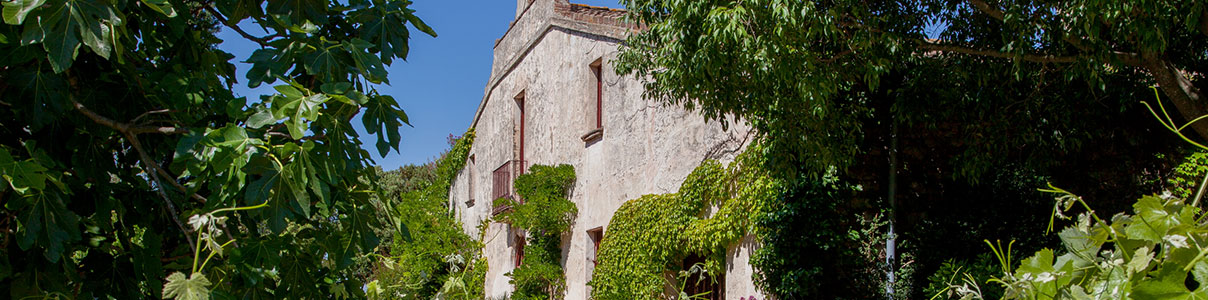 Productor: Raventós de Alella