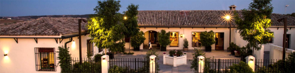 Productor: Viñas de El Regajal