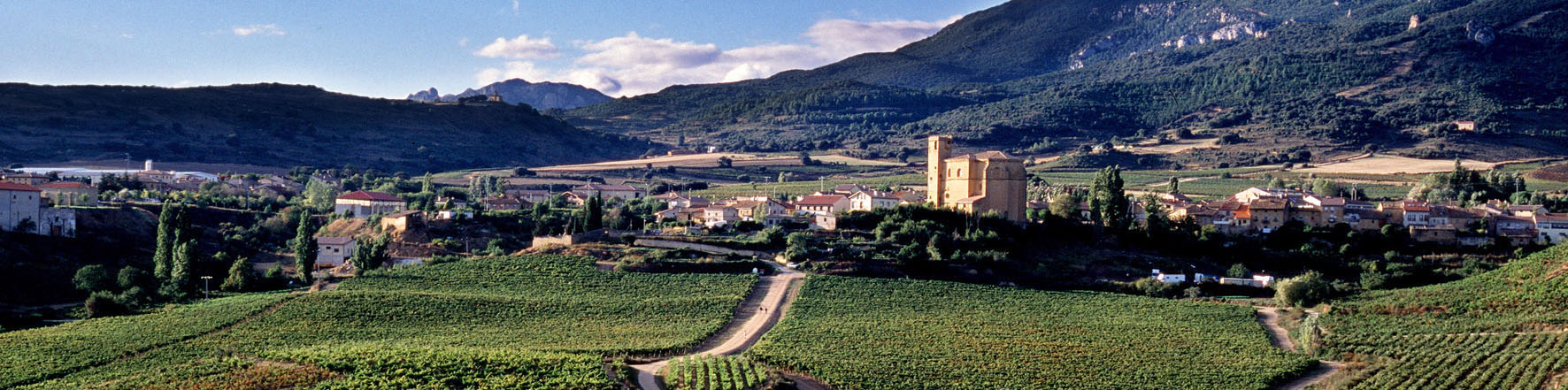 Productor: Bodegas Remírez de Ganuza