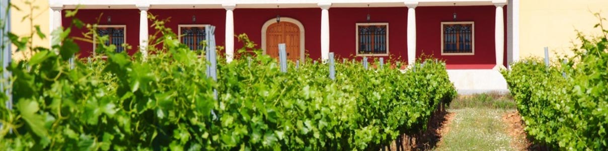 Productor: Ribas del Cúa