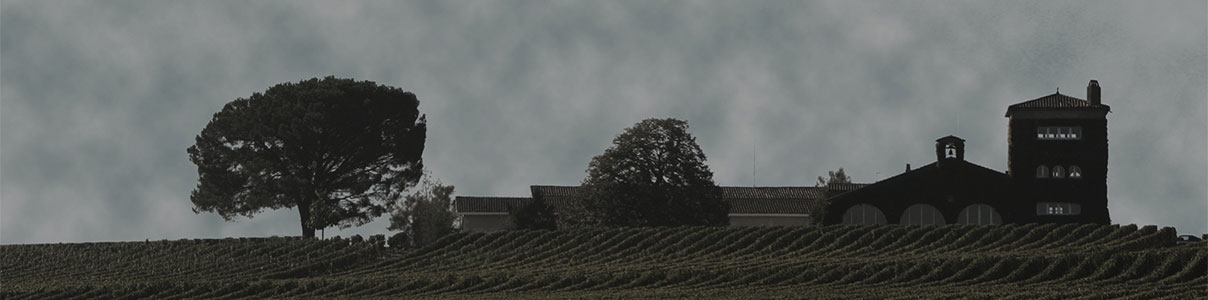 Productor: Château Rieussec