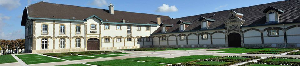 Productor: Maison Ruinart