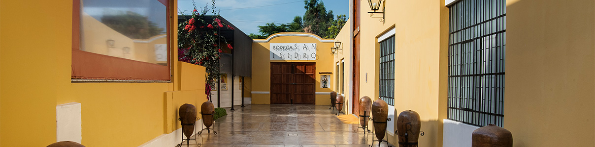 Productor: Bodega San Isidro