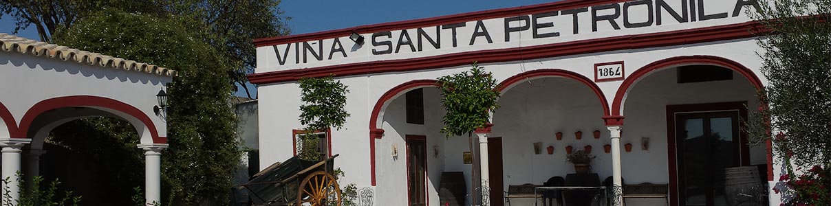 Productor: Santa Petronila