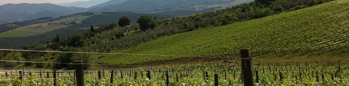 Productor: Santa Cristina