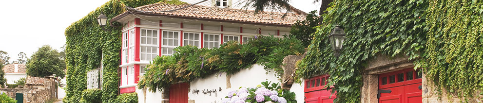 Productor: Bodegas Santiago Ruiz