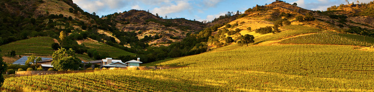 Productor: Shafer Vineyards