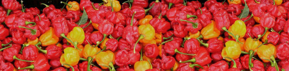 Productor: Salsas y Especias Sierra Nevada