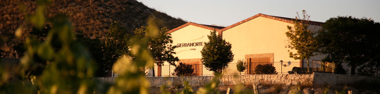 Productor: Bodega Sierra Norte