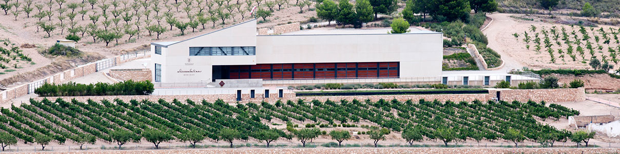 Productor: Bodegas Sierra Salinas