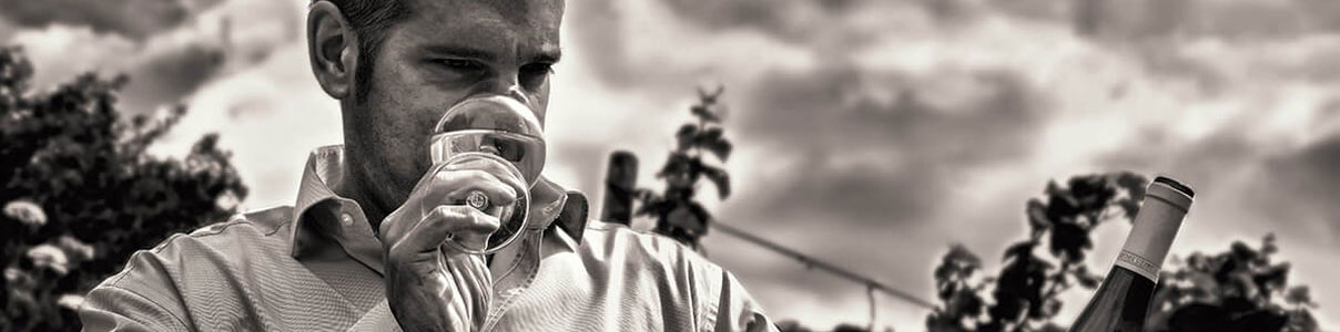 Productor: Weingut Günther Steinmetz