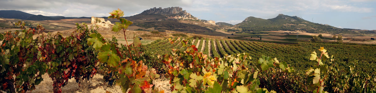 Productor: Bodegas Tarón