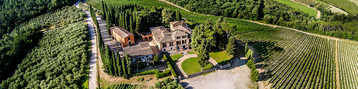 Productor: Tenuta Di Nozzole