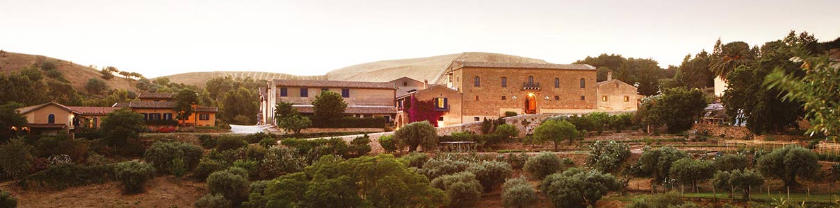 Productor: Tenuta Sallier de la Tour