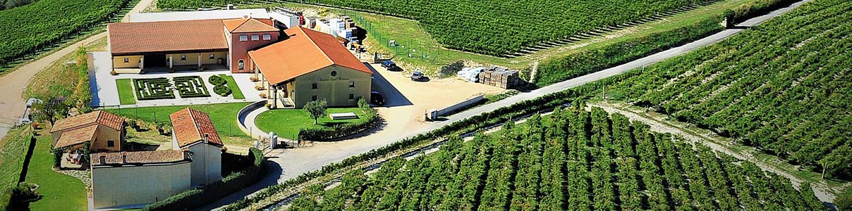 Productor: Tenuta Sant'Antonio