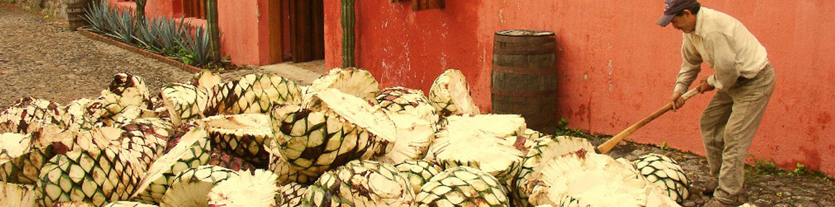 Productor: Tequila Fortaleza