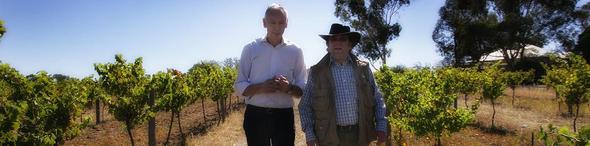 Productor: Domaine Terlato & Chapoutier