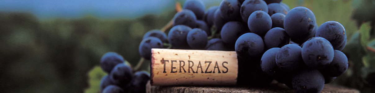 Productor: Terrazas de los Andes