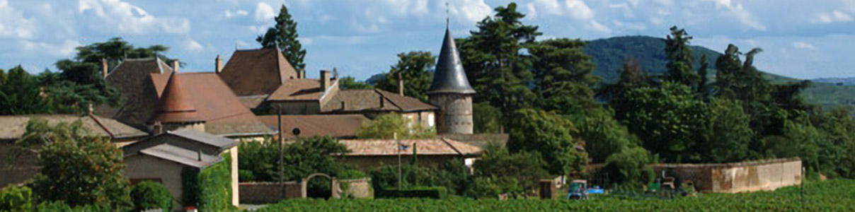 Productor: Domaine de Thulon