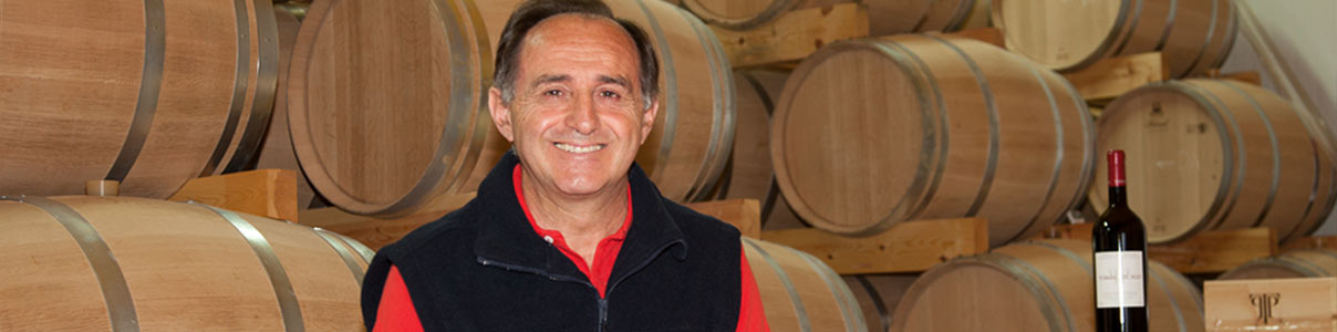 Productor: Bodega Tomás Postigo