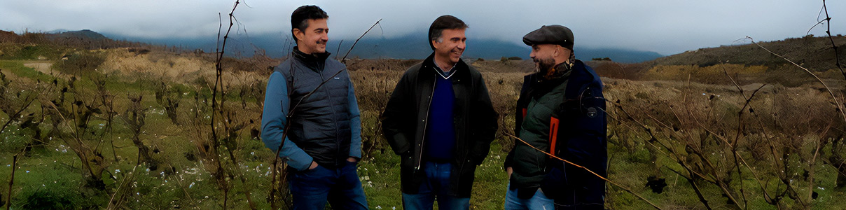 Productor: Tres Viñerones