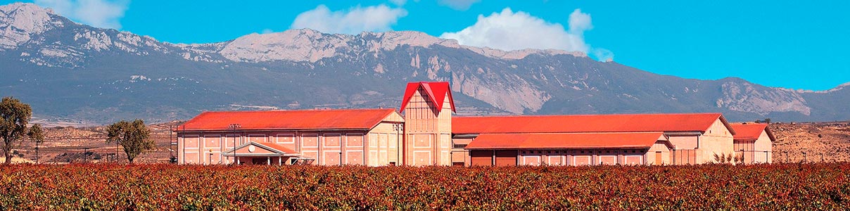 Productor: Finca Valpiedra