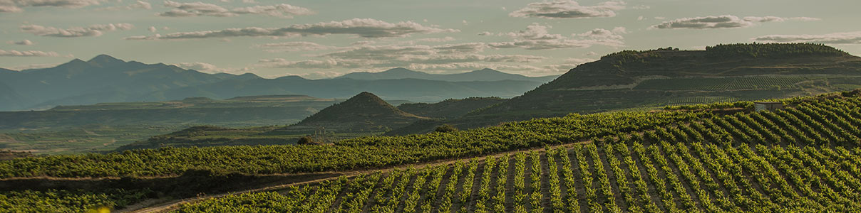 Productor: Bodegas de La Marquesa - Valserrano