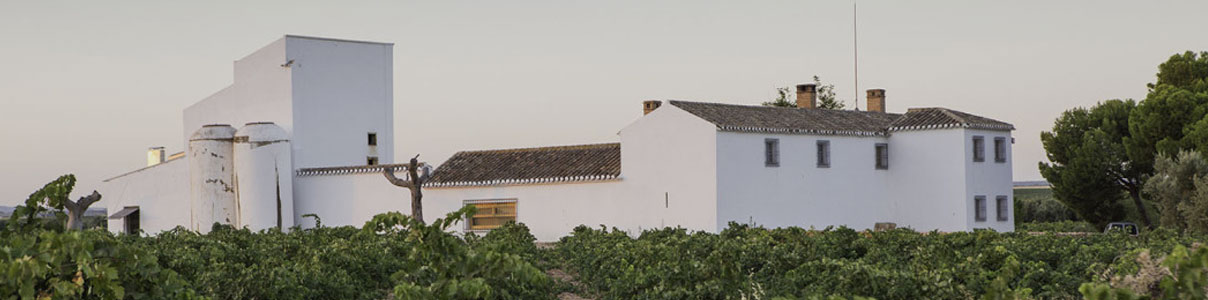 Productor: Bodegas Verum