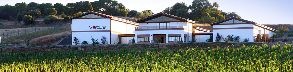 Productor: Bodegas Vetus