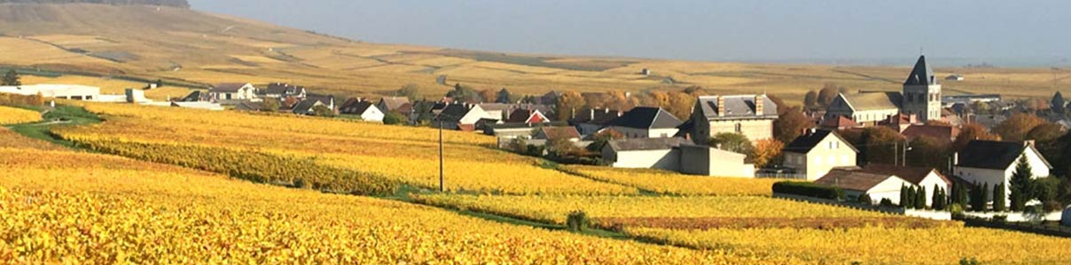 Productor: Veuve Fourny et Fils