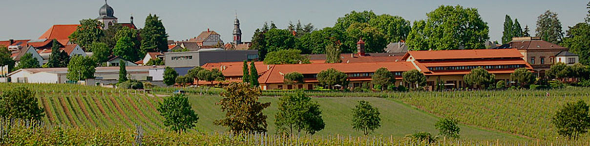 Productor: Weingut Villa Wolf