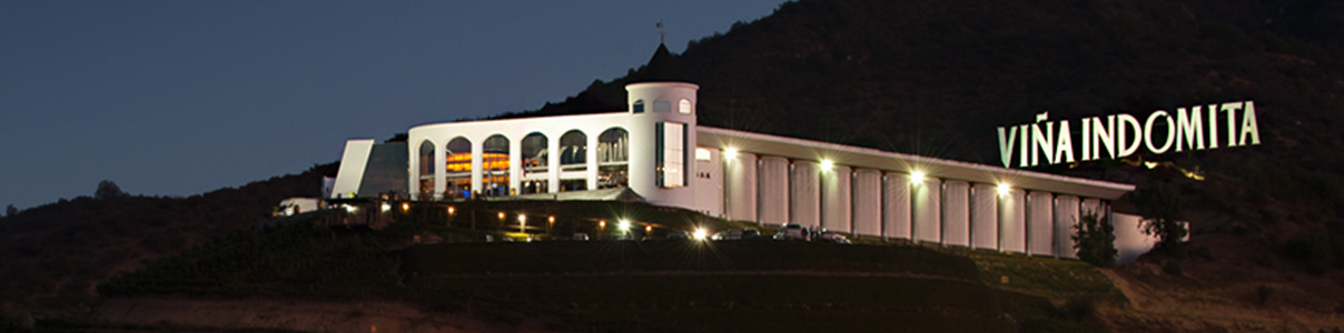 Productor: Viña Indómita