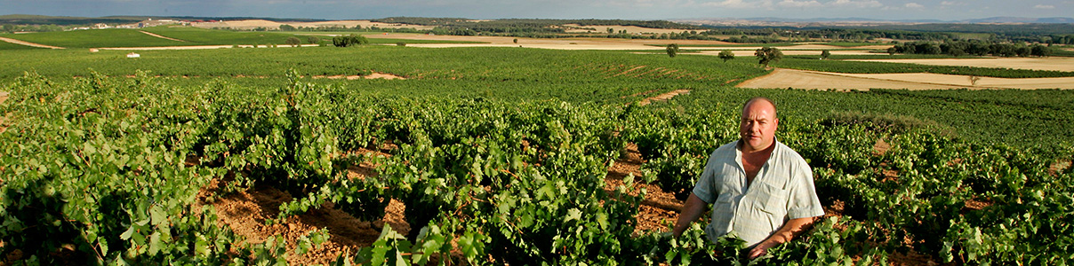 Productor: Viña Sastre