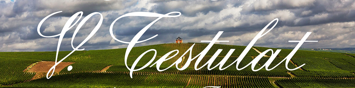 Productor: Champagne Vincent Testulat