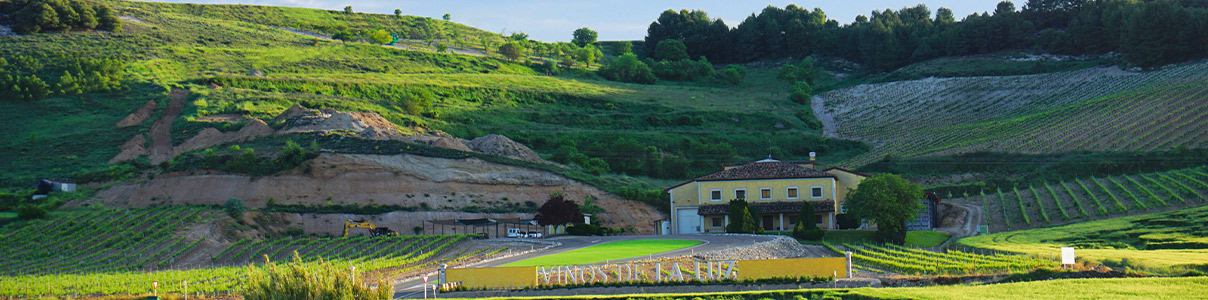 Productor: Vinos de la Luz