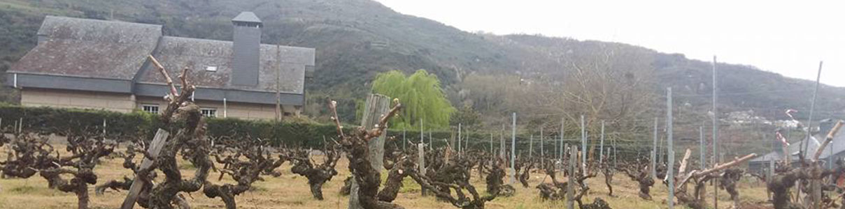 Productor: Vinos Divertidos