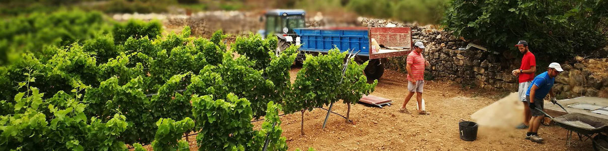 Productor: Vins del Tros
