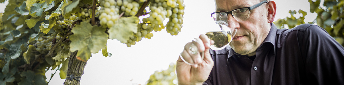 Productor: Weingut Tesch