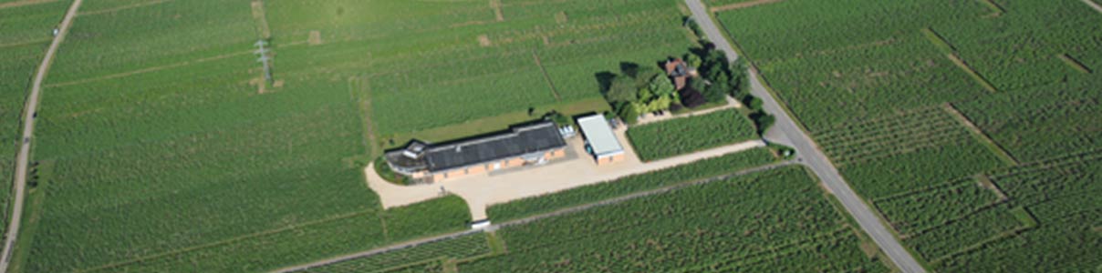 Productor: Domaine Zind-Humbrecht