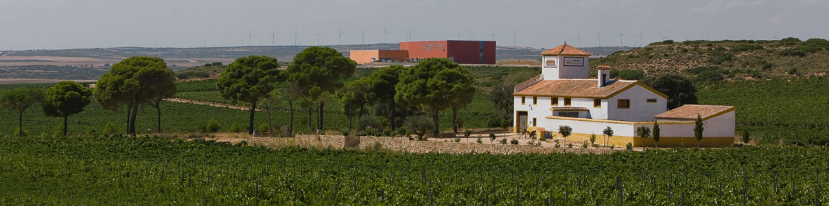 Productor: Venta la Vega