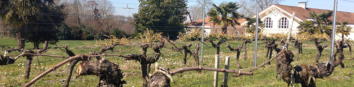 Productor: Château Larrivet Haut-Brion