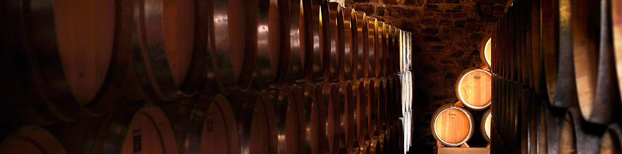 Productor: Viñedos y Bodegas Pittacum