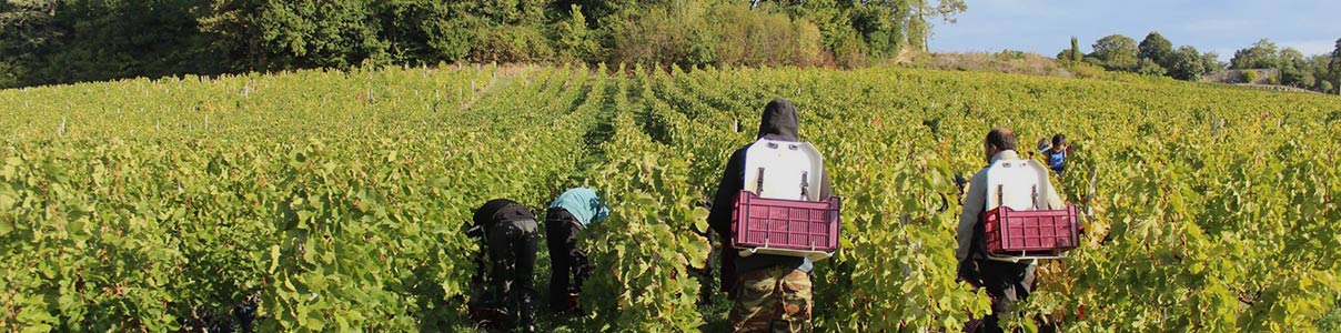 Productor: Château Bellefont-Belcier